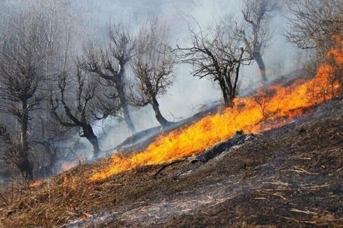 ضرورت آمادگی برای مقابله با آتشسوزی مراتع و جنگلها در فصل گرما